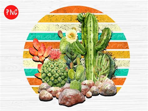 Watercolor Cactus Sublimation Png Cactus Sublimation PNG Etsy