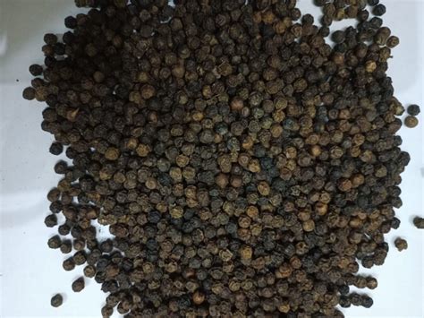 Common Black Pepper Seeds For Spices Cooking Packaging Type