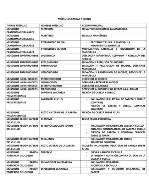 Músculos Cabeza y Cuello Sebastian Figueroa uDocz