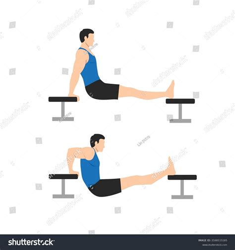 Man Doing Chair Bench Tricep Dips Stock Vector Royalty Free