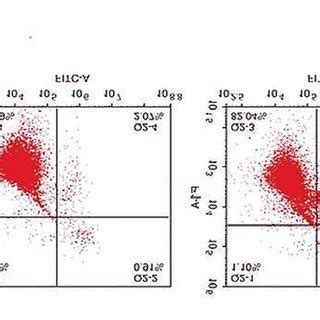 Knockdown Of Enst Promoted Lovo Cell Apoptosis A Flow