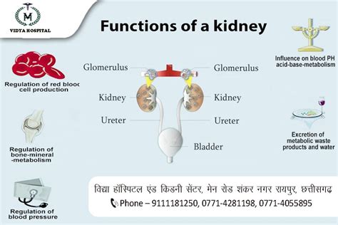 1. Best Kidney failure treatment in Raipur Chhattisgarh