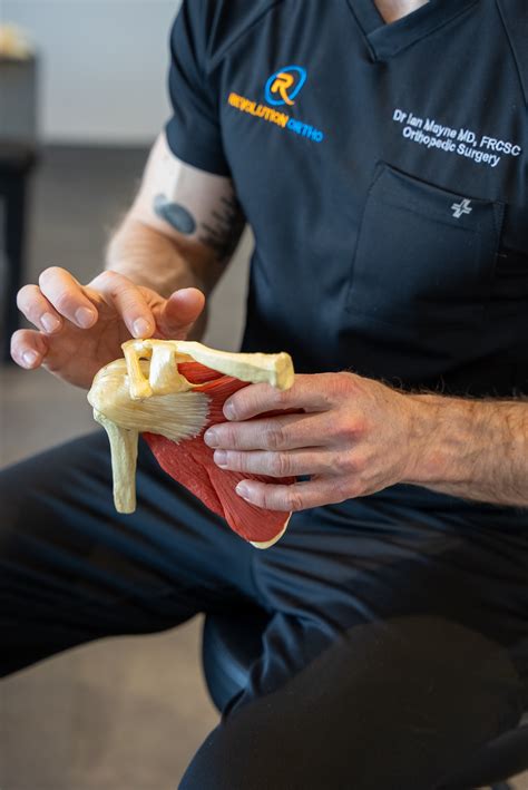 Shoulder Replacement | Regain Shoulder Mobility — Dr Ian Mayne