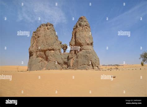 Rock carving depicting the so-called crying cow in the Algerian desert ...