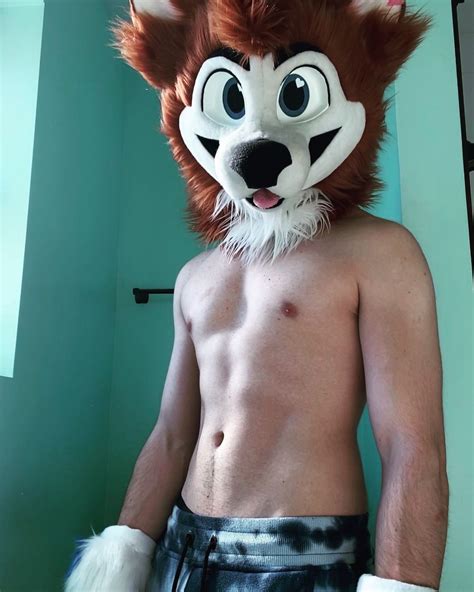 Doxxyfc On Twitter Got No Ideas So Shirtless Doxxy Furry Fursuit