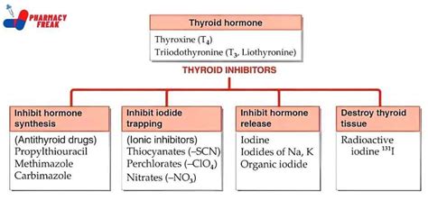 Classification Of Thyroid Inhibitors - Pharmacy Freak