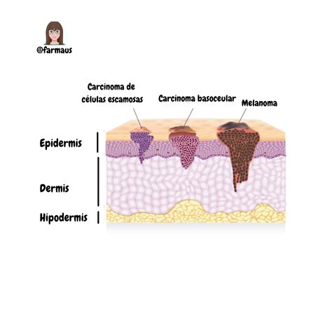 Manual De Información Sobre Cáncer De Piel Orientado Al Paciente