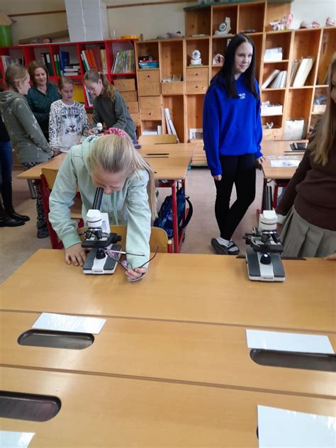 Schnuppertag In Der Naturpark Mittelschule Neumarkt Volksschule St