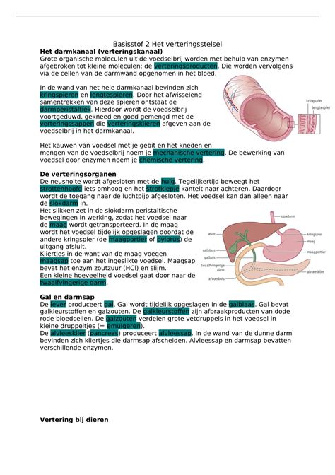 Samenvatting BVJ Thema 1 Vertering Basisstof 2 6 VWO Biologie Stuvia NL