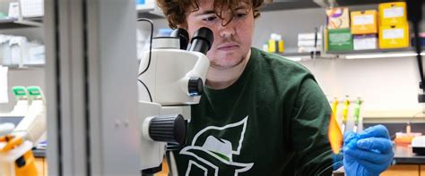 Molecular and Cellular Biology - Stetson University