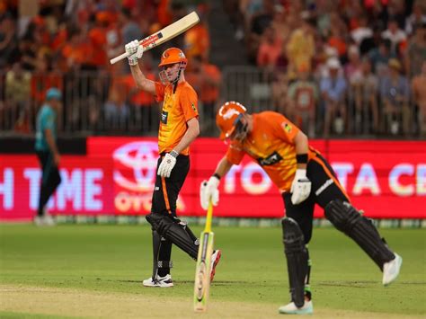 Bbl 2023 5 Key Players From Perth Scorchers To Watch Out For