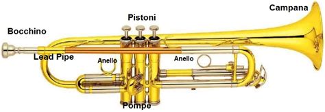 Famiglie Degli Strumenti Musicali Mind Map