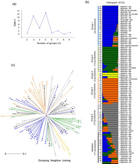 Intraspecific Genetic Structure Of P Edulis Clusters Were Inferred