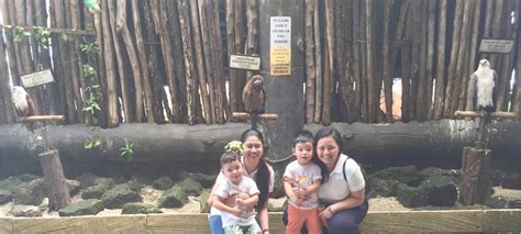 Ark Avilon Zoo In Pasig Undiplomatic Wife