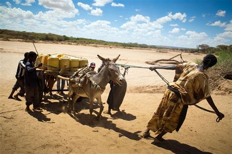 Reality of Resilience: 2016–17 drought in East Africa | BRACED