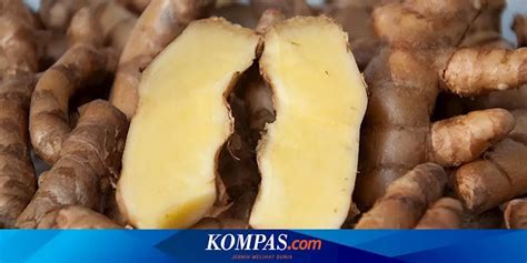 Manfaat Mengonsumsi Kunyit Putih Setiap Hari Jarang Diketahui Ini