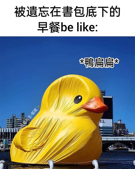 自創 鴨沒囉🦆 梗圖板 Dcard