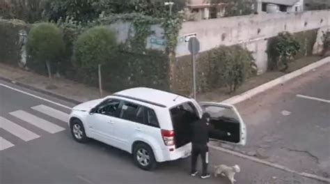 Video De Conductor Que Abandona A Un Perro En El Valle De Los Chillos