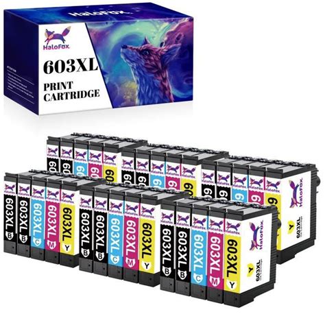 HALOFOX 30x Cartouches Compatible Epson 603 603XL 603 XL Pour Epson