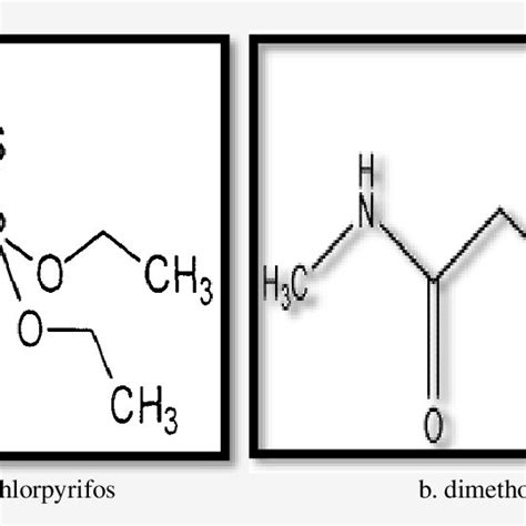 Fig1 The Chemical Structures Of A Chlorpyrifos And B Dimethoate Download Scientific Diagram