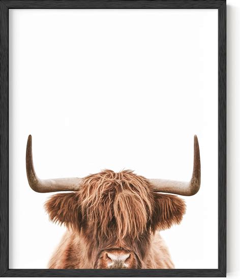 Amazon HAUS AND HUES Highland Cow Wall Art Highland Cow Print