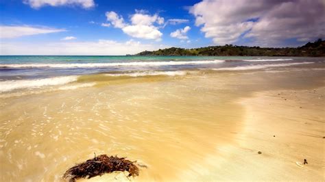 Wallpaper Sunlight Sea Shore Sand Beach Coast Horizon Ocean