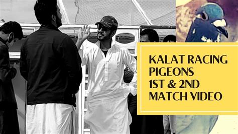 Kalat Pigeon Racing Association St Nd Rounds Video Racing Pigeons