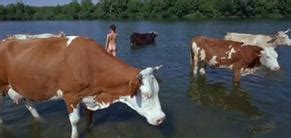 GOLOVA DVA UKHA NUDE SCENES AZNude