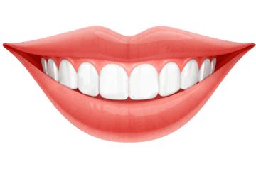 smile teeth png 10 free Cliparts | Download images on Clipground 2024