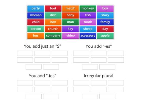 Singular And Plural Nouns Group Sort