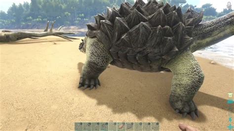 3 Taming A Carbonemys 🐢 Ark Survival Evolved Youtube