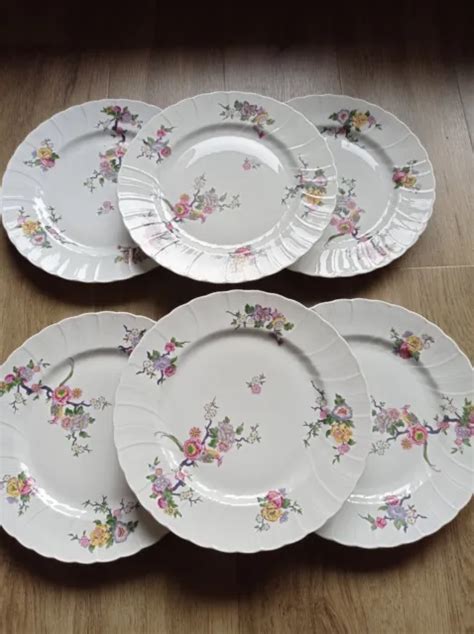 Assiettes Plates En Porcelaine De Limoges Bernardaud Cie Eur