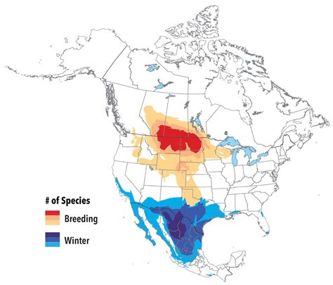 Grasslands – State of North America's Birds 2016