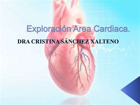 Exploracion Cardiaca Didactico PPT Descarga Gratuita