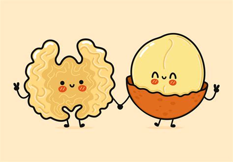 Cute Funny Happy Walnut And Macadamia Character Vector Hand Drawn