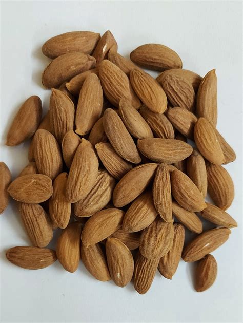 Mamra Kashmiri Almonds Badam Indian Organic Pure Foods Etsy