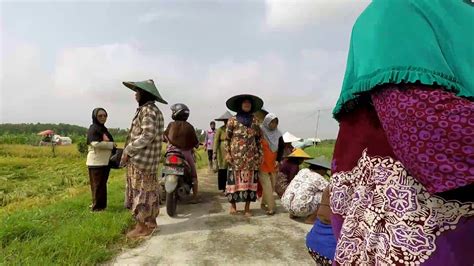 Kegiatan Padat Karya Tunai Dana Desa Desa Sendangrejo Lamongan