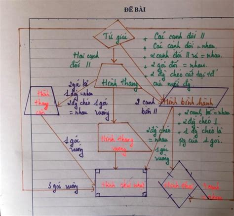 Tổng Hợp Vẽ Sơ đồ Tư Duy Hình Học Lớp 8 Những Bài Học Mới Nhất