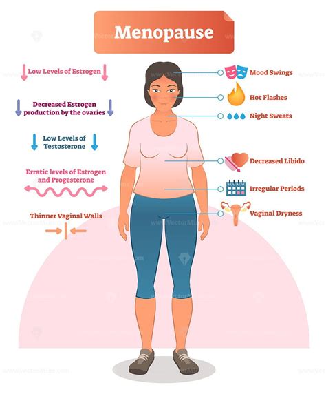 Pin On Diagrams And Infographics