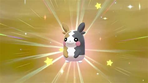 SHINY MORPEKO RAIDS FOR EVERYONE Pokemon Sword And Sheild YouTube