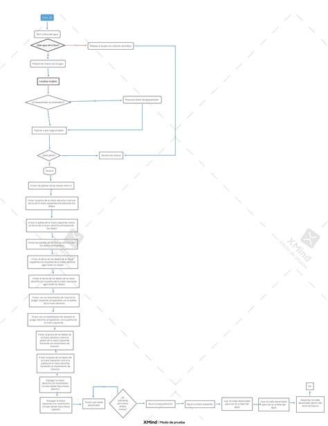 Diagrama De Flujo De Lavado De Manos Esquemas Y Mapas Conceptuales De Administración De