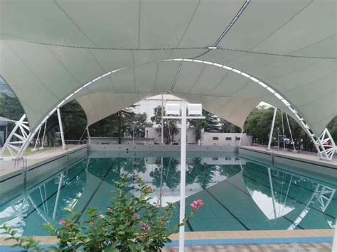 Modular PVC Tensile Pool Fabric Structure At Rs 343 Sq Ft In New Delhi