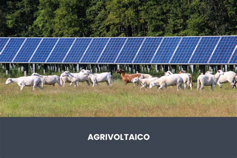 Agrivoltaico Cos Normativa E Incentivi