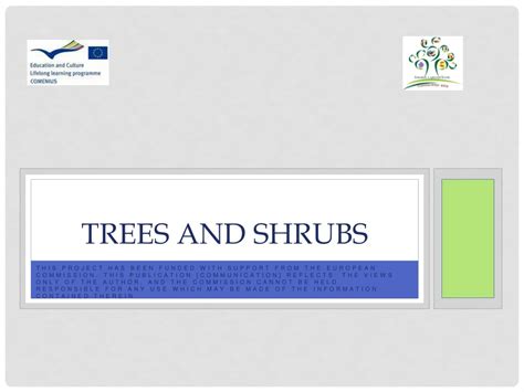 Ppt Trees And Shrubs Powerpoint Presentation Free Download Id9137716