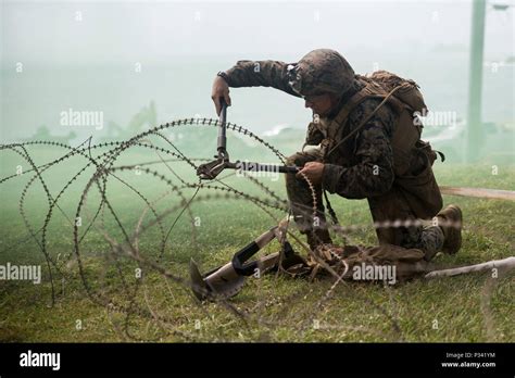 0311 Rifleman Hi Res Stock Photography And Images Alamy