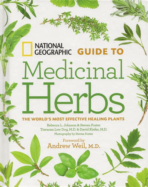 Guide to Medicinal Herbs | Rebecca Johnson Books