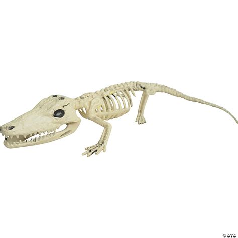 Alligator Skeleton Halloween Decoration - Discontinued