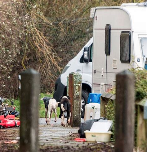 Travellers threatened with court eviction after BLOCKING park-and-ride ...