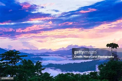 Glen Forest Elementary School Photos and Premium High Res Pictures - Getty Images