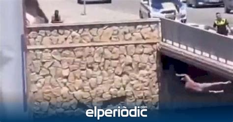 VIDEO Un policía de Alicante salta por un puente para salvar a un hombre